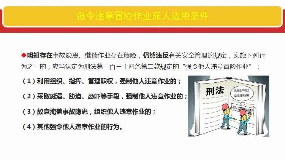 新澳2025全年最新资料大全,全面释义解释与落实